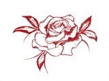Rose Red Création