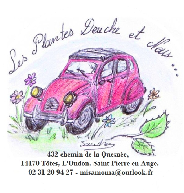 Les Plantes Deuche et Nous - CAE Rhizome