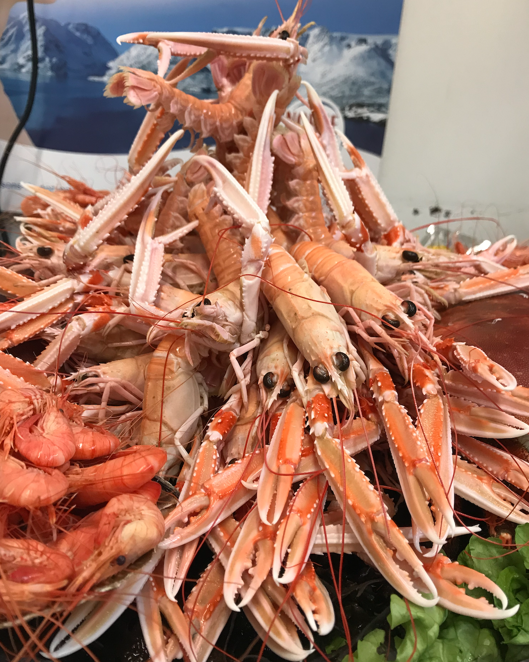 Plateau De Fruit De Mer Dijon Plateaux au choix de Poissonnerie Willman à Guipavas - Ma Ville Mon Shopping