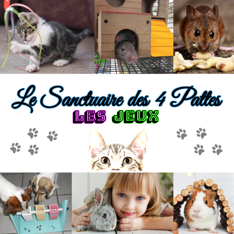 Le Sanctuaire Des 4 Pattes - LES JEUX